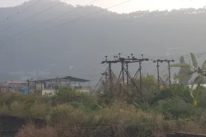 मिनी स्टेडियम में उगी झाड़ियों से खिलाड़ी परेशान 